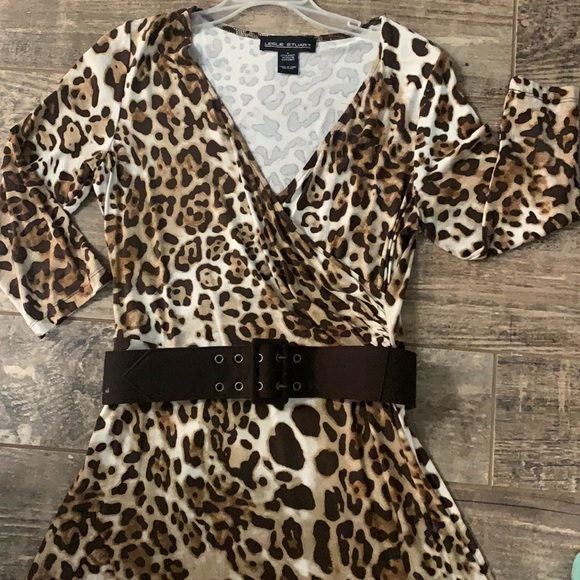 Leopard Print Dress - Picture 2 of 3
